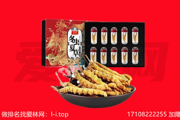 哈密巴里坤县回收虫草.jpg